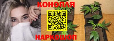 гашиш Гатчина