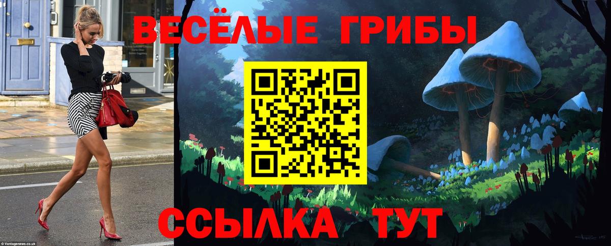 Псилоцибиновые грибы Psilocybine cubensis Мелеуз